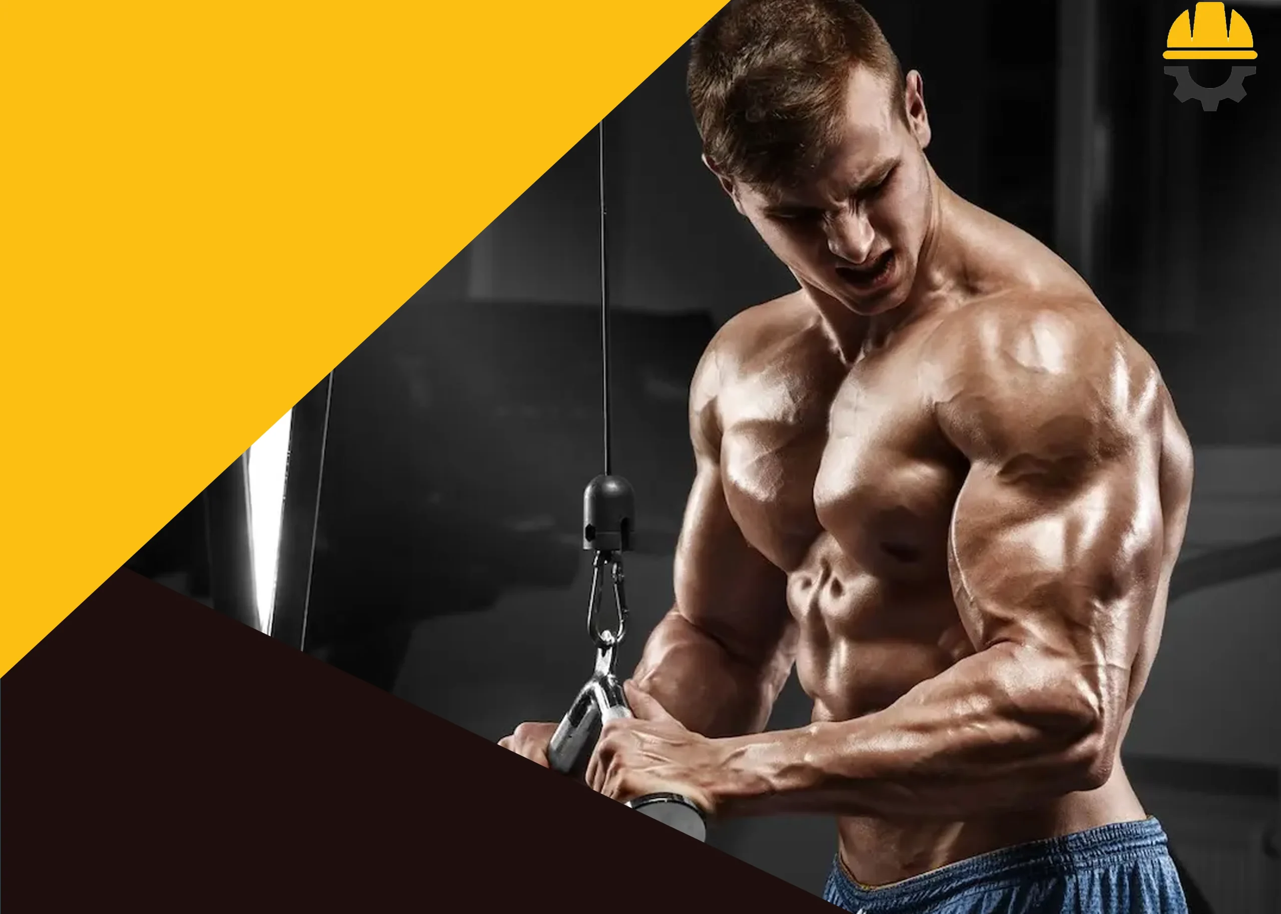 بهترین باشگاه ورزشی مردانه در صدرا شیراز