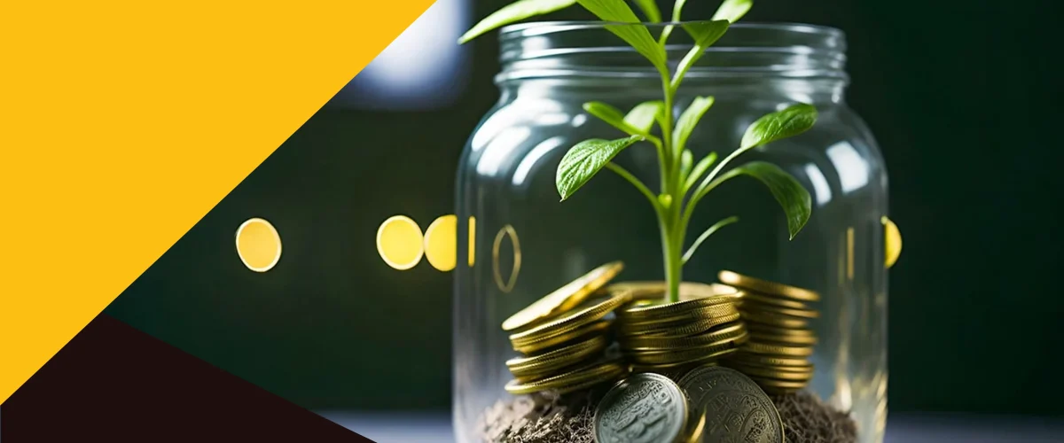 بهترین سکه فروشی شیراز