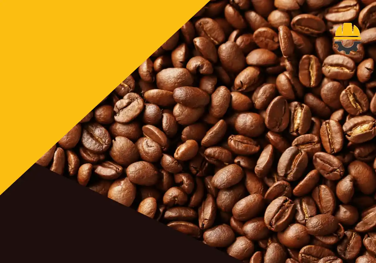 بهترین فروشگاه ها و عمده فروشی ‌های قهوه در شیراز