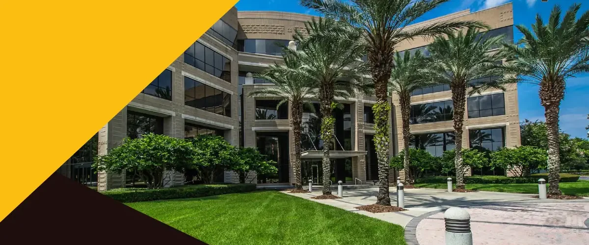 شرکت طراحی فضای سبز برتر شیراز